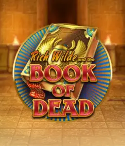 Enter the thrilling world of Book of Dead Slot by Play'n GO, featuring vivid graphics of Rich Wilde's journey through ancient Egyptian tombs and artifacts. Uncover lost riches with engaging mechanics like free spins, expanding icons, and a gamble option. Ideal for those seeking adventure with a desire for thrilling discoveries.